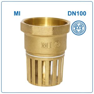 Rọ đồng MI DN100