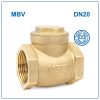 Van 1 chiều đồng lá lật MBV DN20