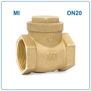 Van 1 chiều đồng lá lật MI DN20