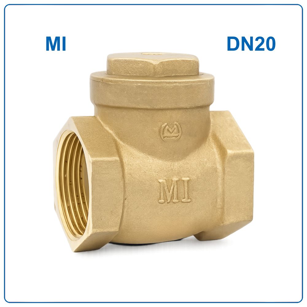 Van 1 chiều đồng lá lật MI DN20