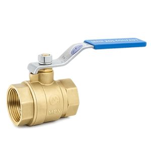 icon-van-bi-dong-mvb