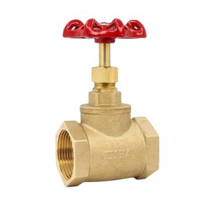 icon-van-cau-minh-hoa